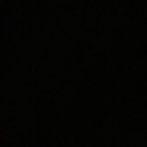 Meet your Posher, Owen